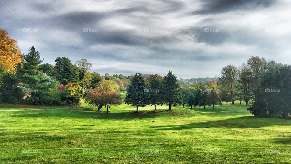 Newton Commonwealth golf course 