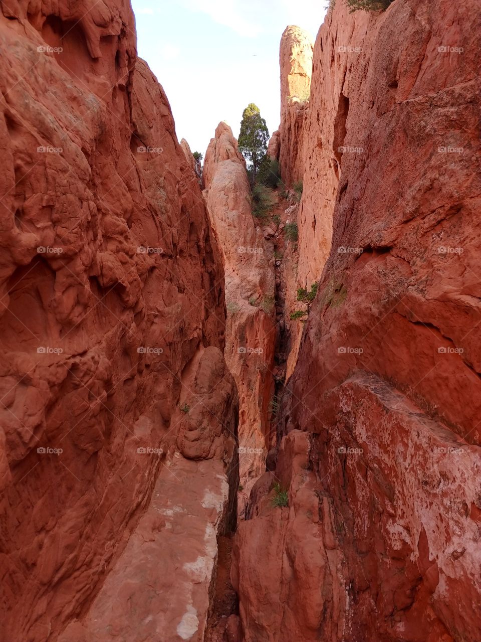 :::lose yourself in the Garden of the Gods::