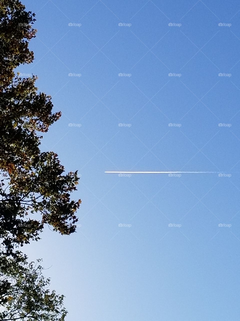 Flyin High In The Sky