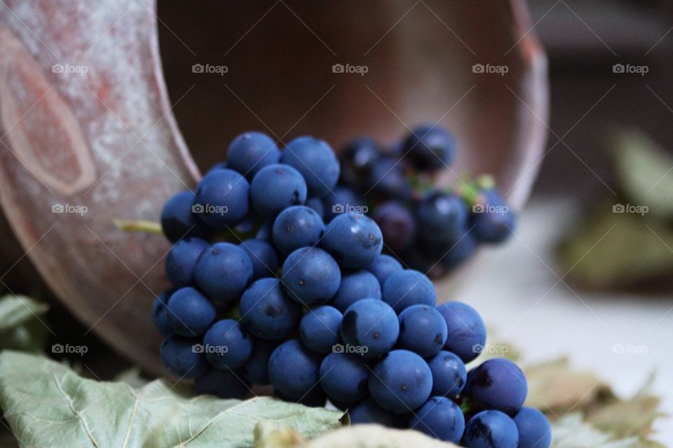 Close-up of blue grapes