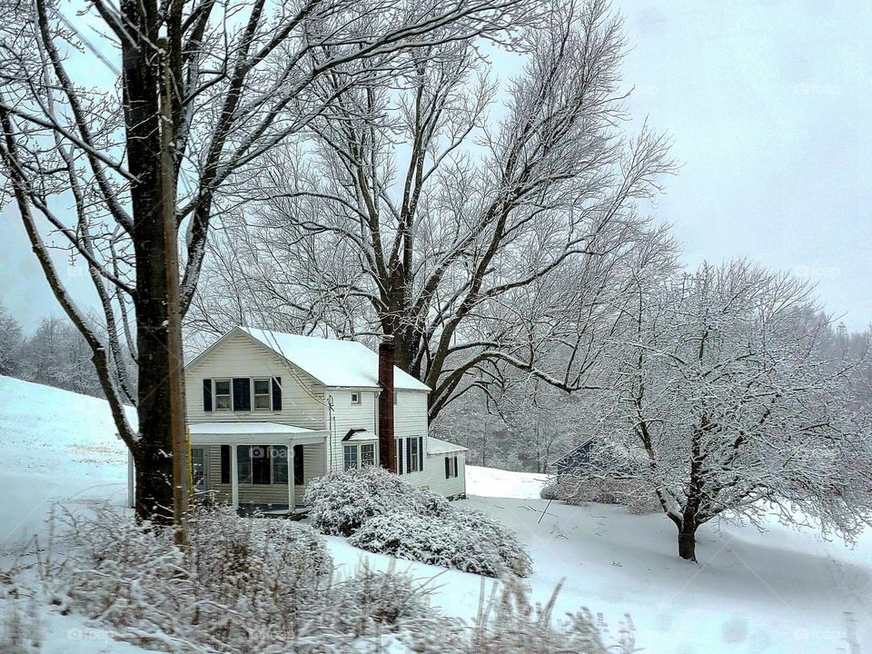 A small house sits in a wooded area after a snow storm