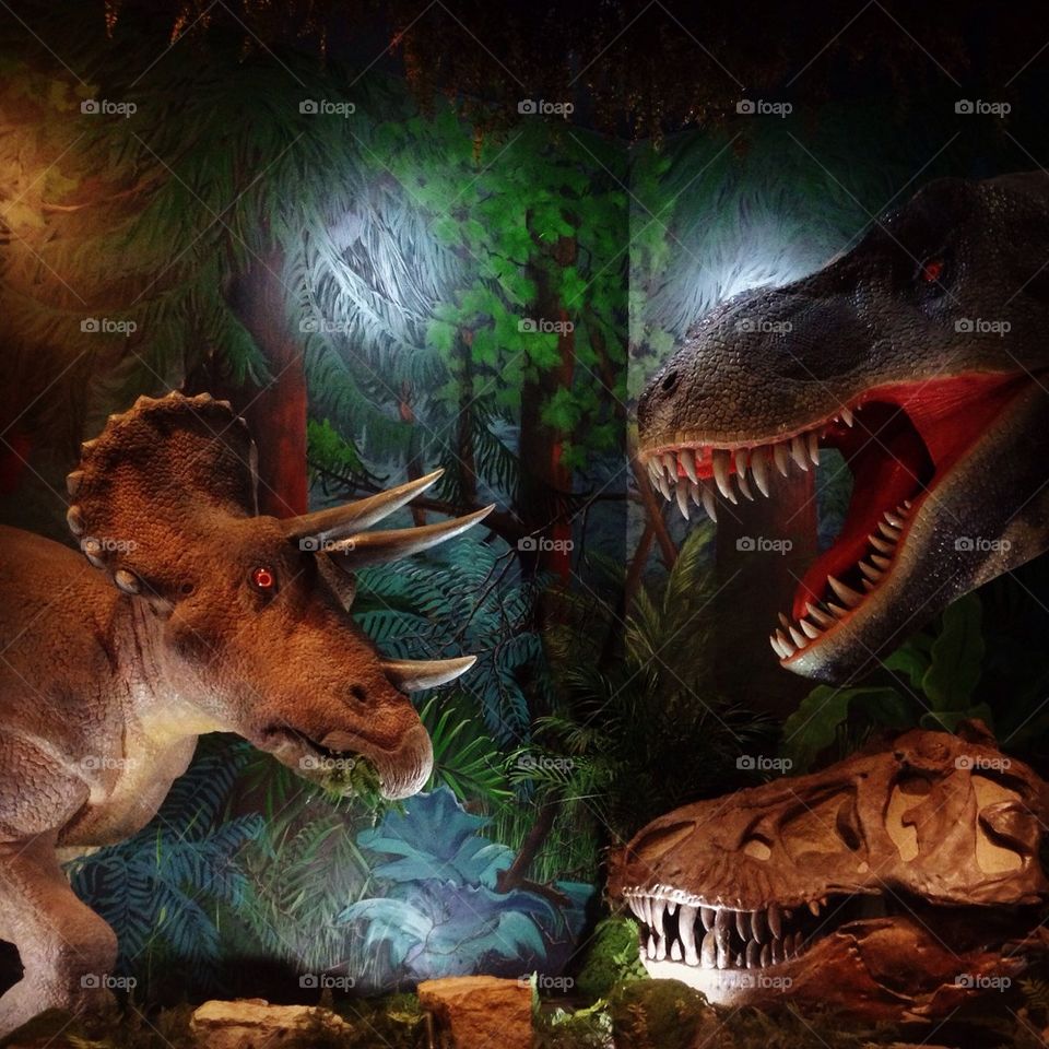 Dinosaur museum