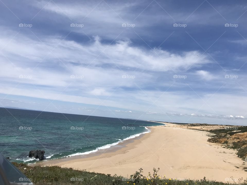Canto mosqueiro, Costa do norte, Portugal 🇵🇹