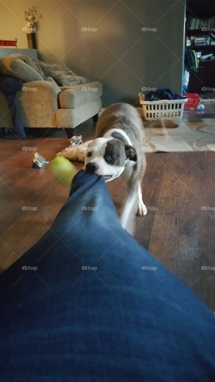 Play With Me!