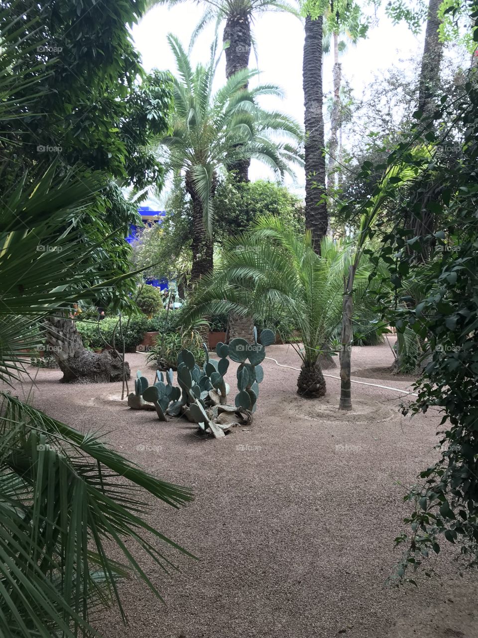 Garden Majorele, Marrakech 