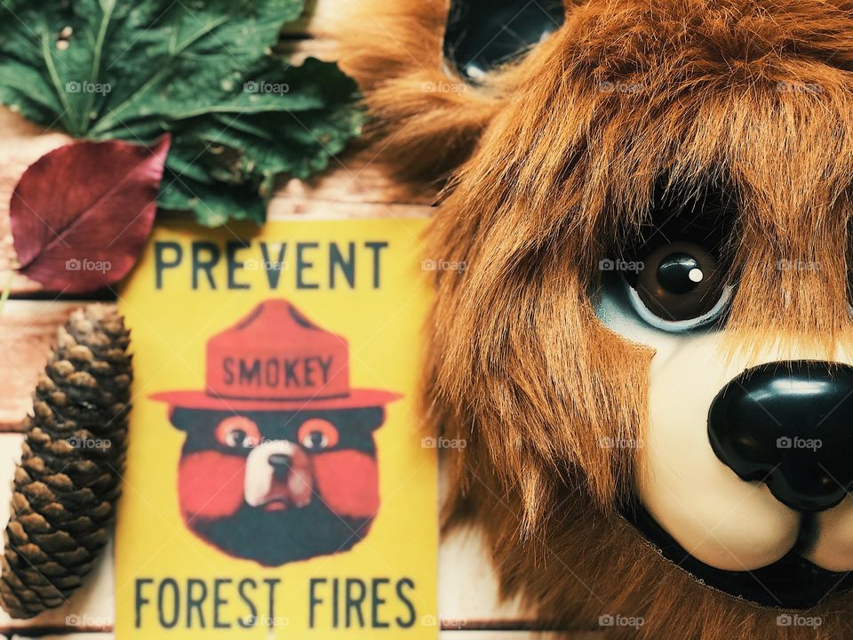 Prevent Forest Fires, Bear With Leaves And Message, Saving The Forest, Environmental Messages, Flatlay Of Forest Prevention, Bear Mask And Forest