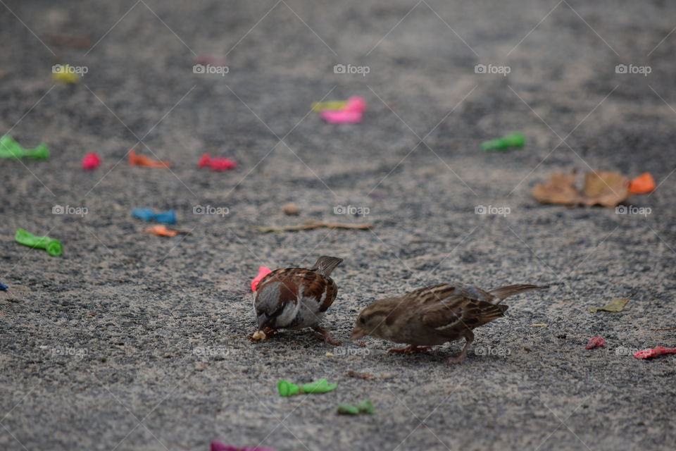 Two civilians on the battlefield