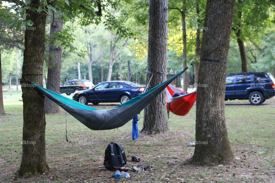 Sleeping in the woods