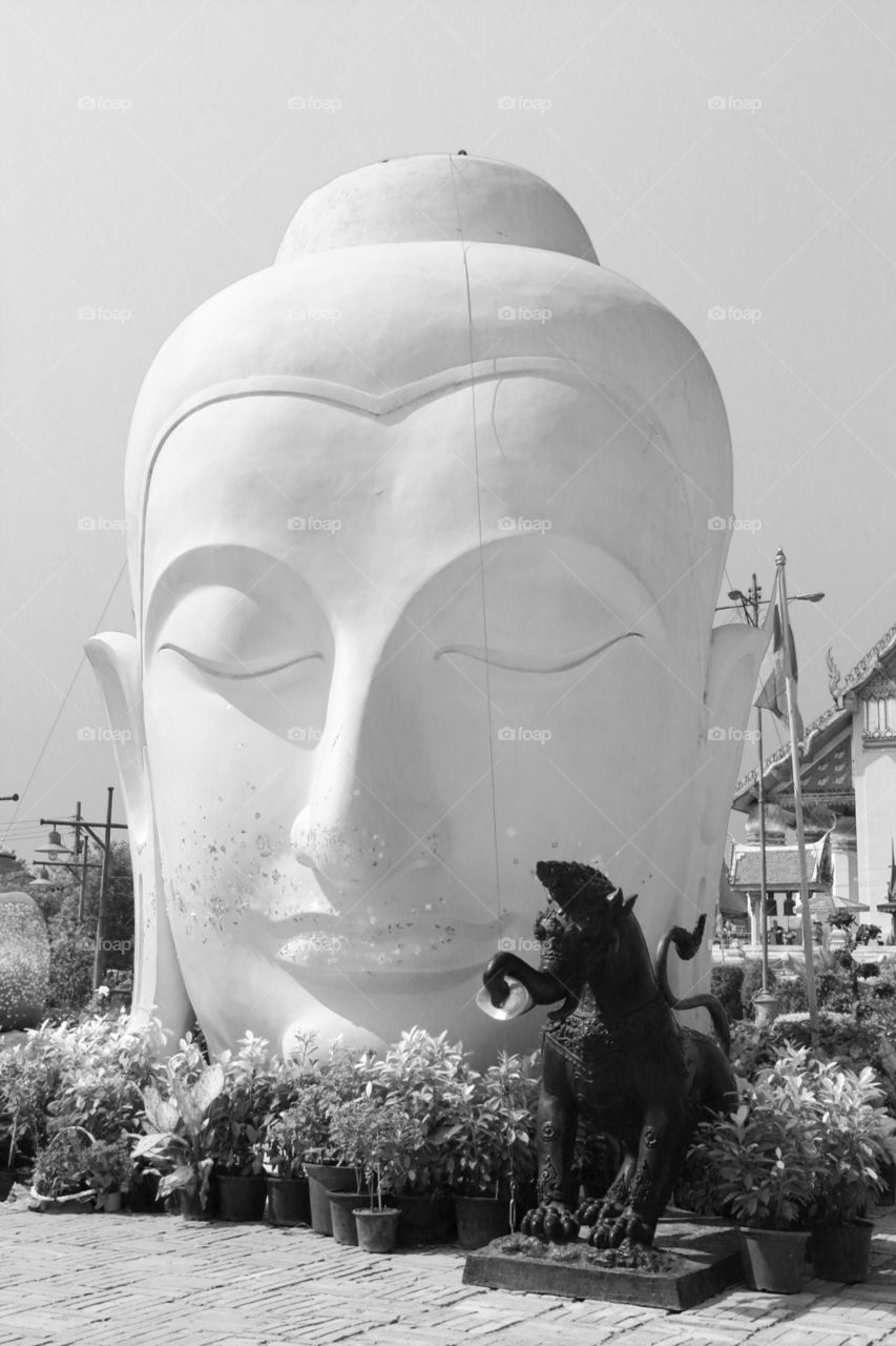 head of buddha art in ayuttaya thailand