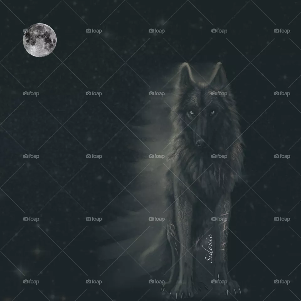 🐺