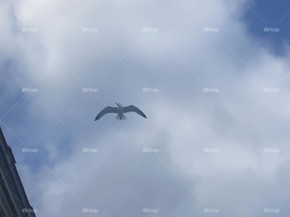 Let’s fly…..❤️