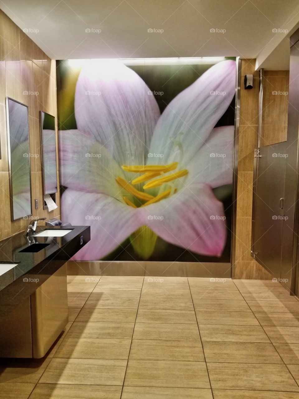 Tampa bays new rental car women's restroom