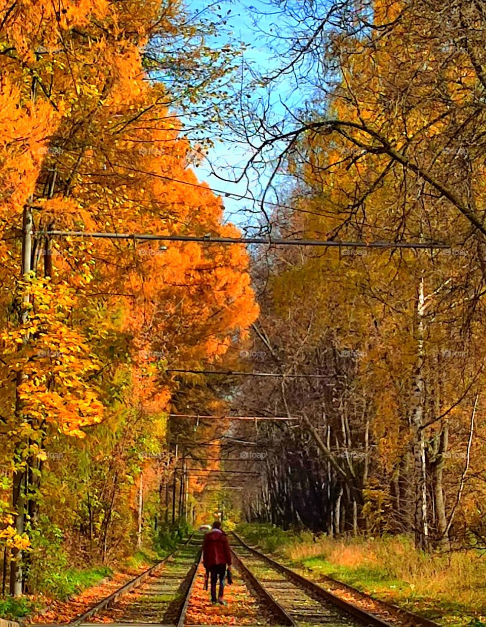 Village or city.  Railroad through the autumn forest.  A man walks along the rails into the distance.