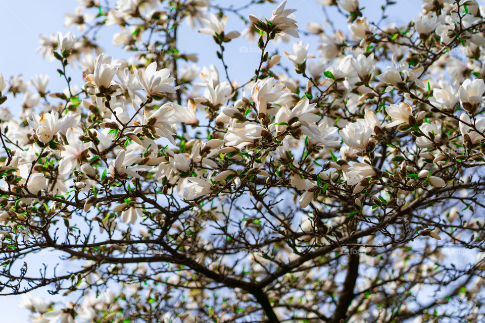 When spring trying to make you happy with all her beautiful colors.