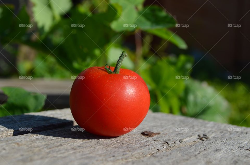 tomato