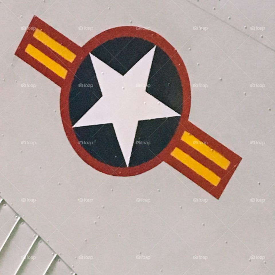 Vintage fighter plane logo 