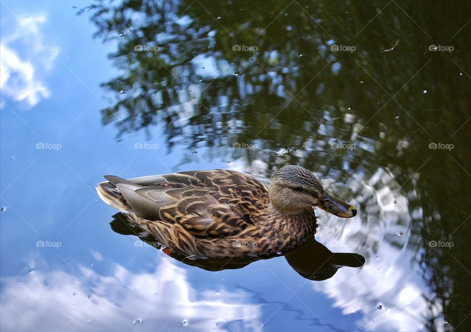 Floating in the blue