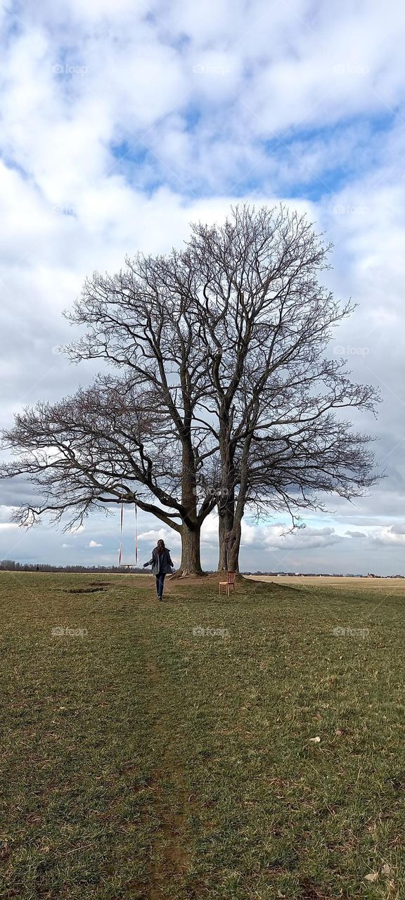 A swing on a tree