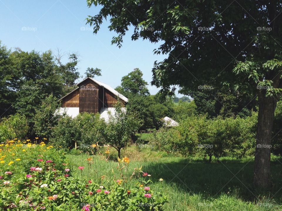 Mennonite Farm House . This is a traditional homestead on a Mennonite farm in Tennessee. No electricity! 