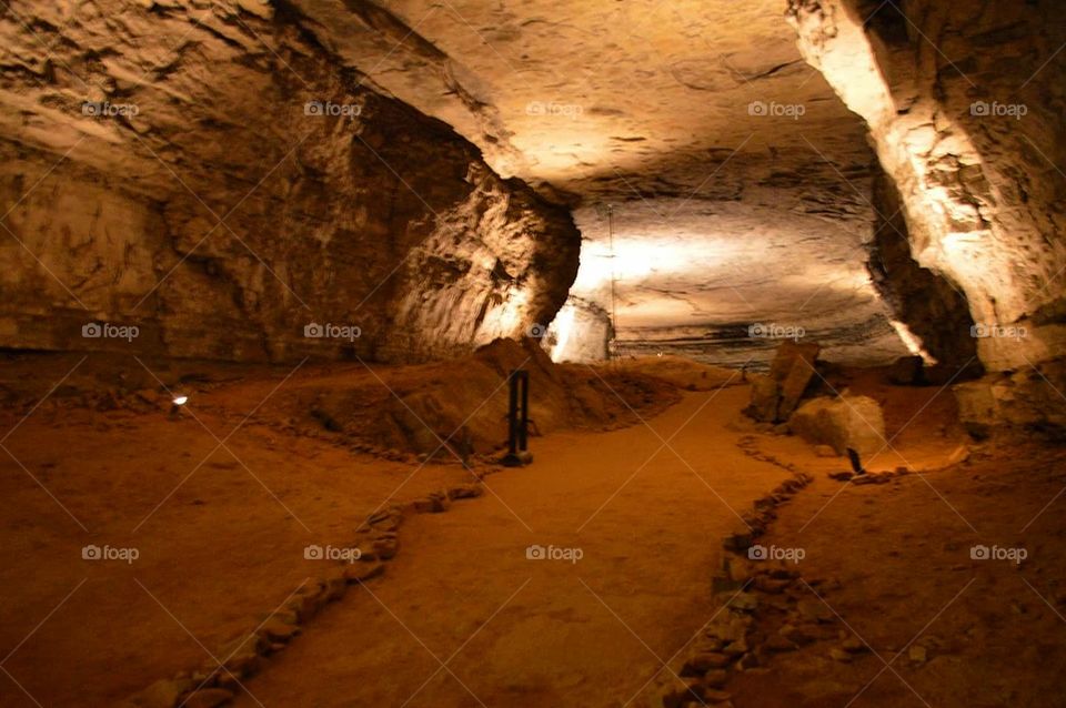 Mammoth Cave National Park