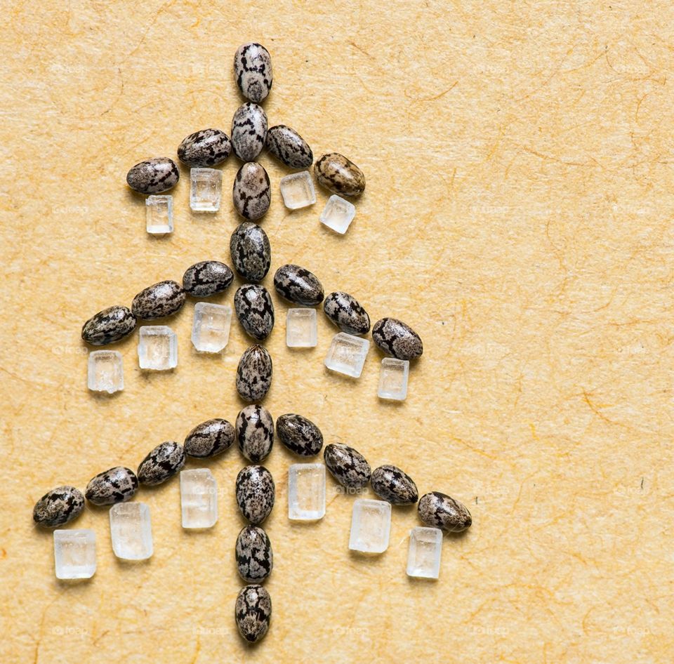 Christmas tree made of chia seeds decorated with sugar crystals
