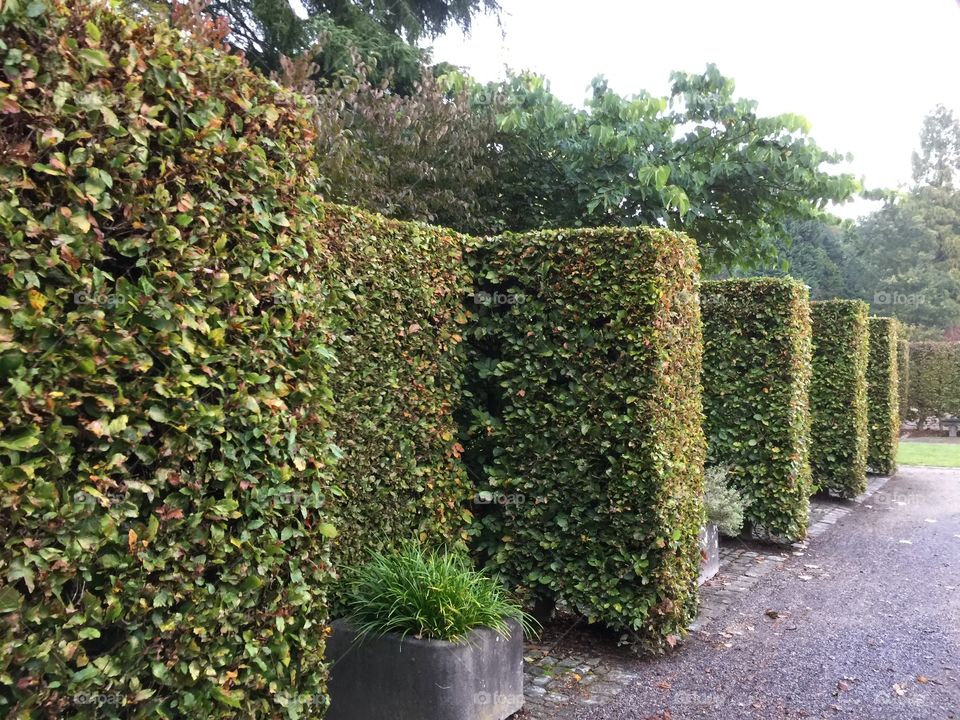 In a park in Antwerp