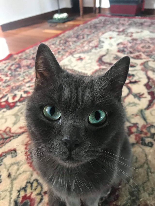 Warm Eyes