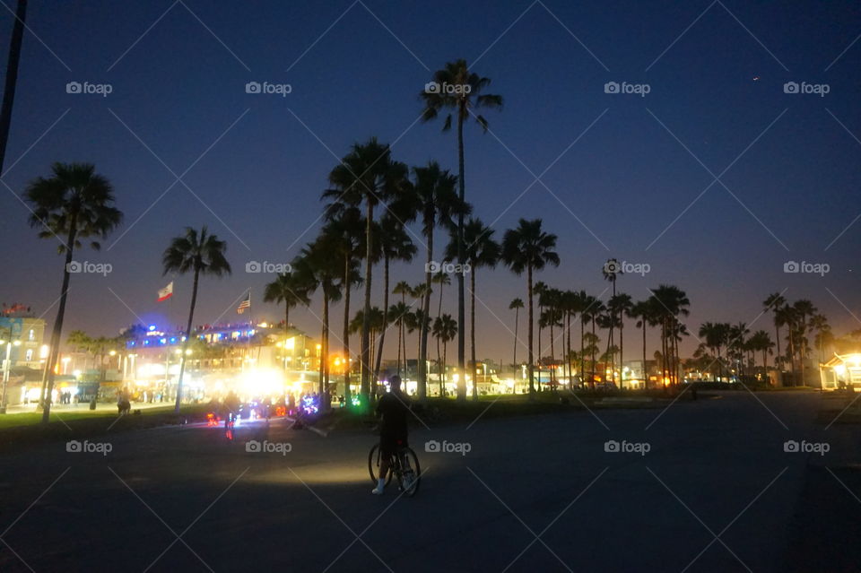 light at venice beach by night