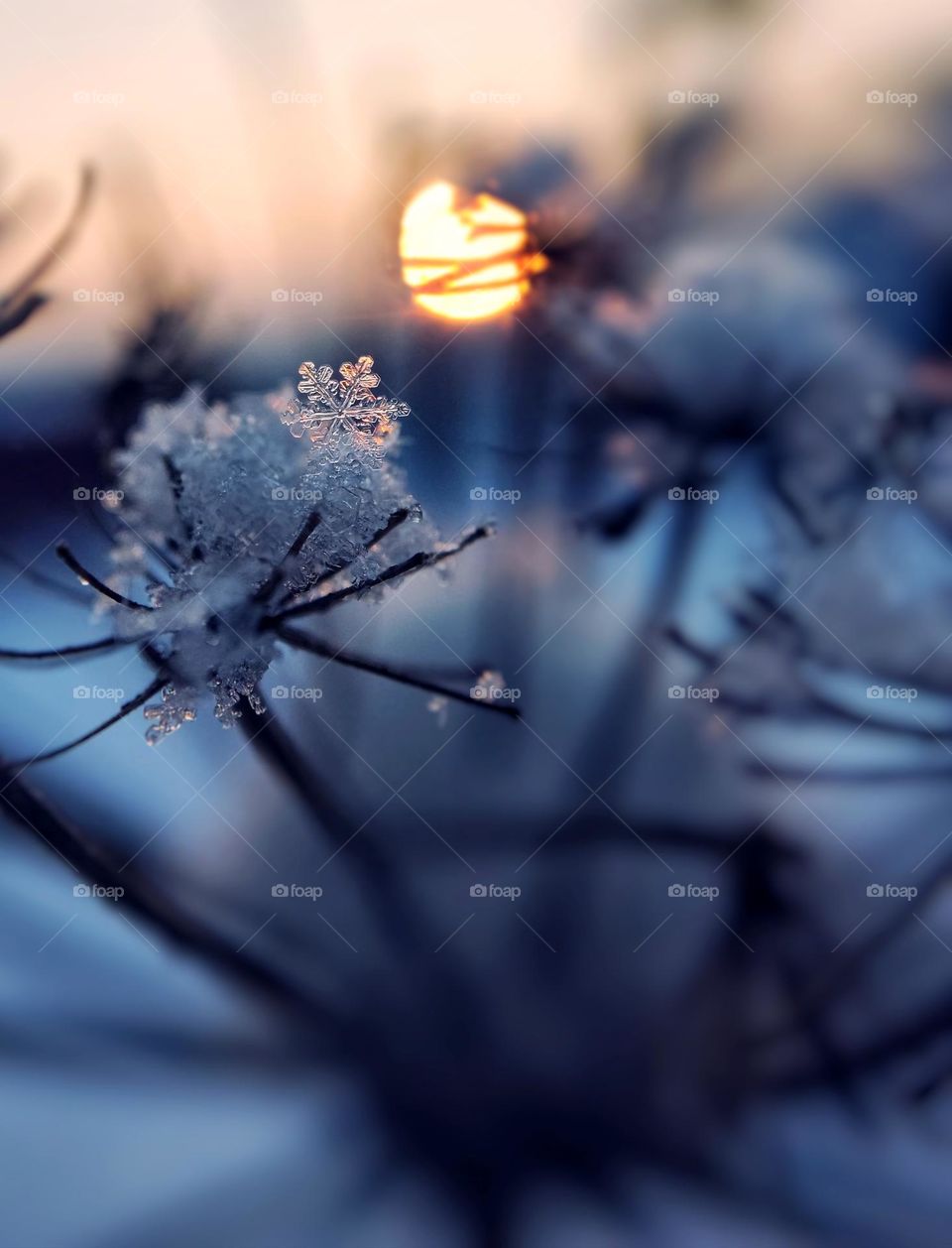 snowflake on the floor with the rays of the sun at sunset.