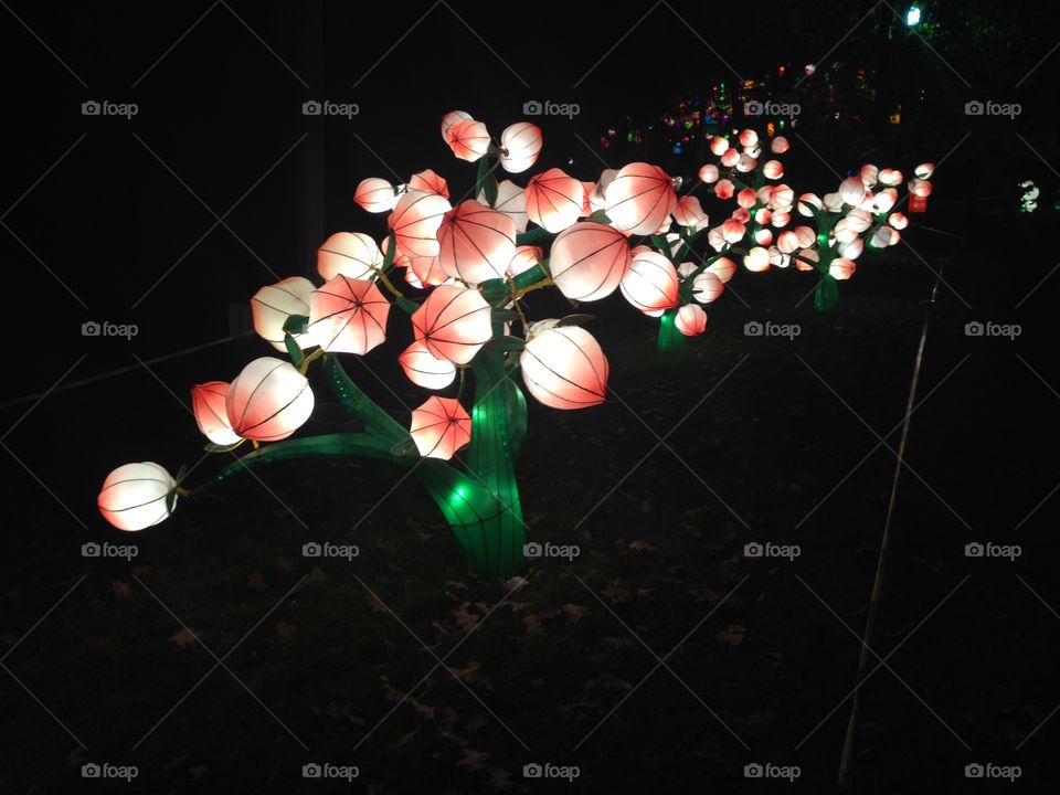Chinese peach lanterns 