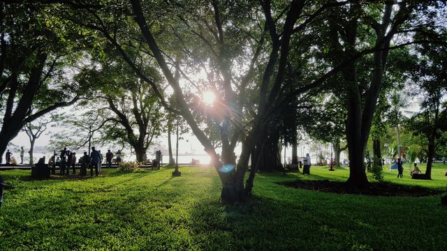 Park
