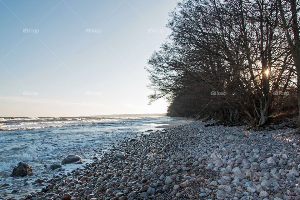 Rocky beach