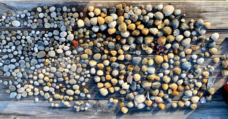 Shells and rocks 