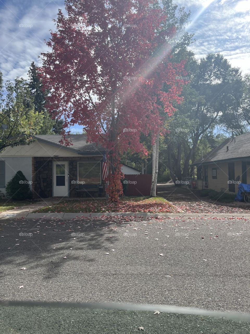 Miss the days of the recent spring and then the change into fall