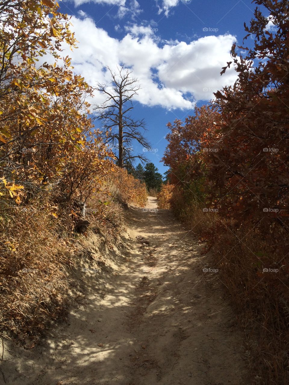 Hiking in the autumn