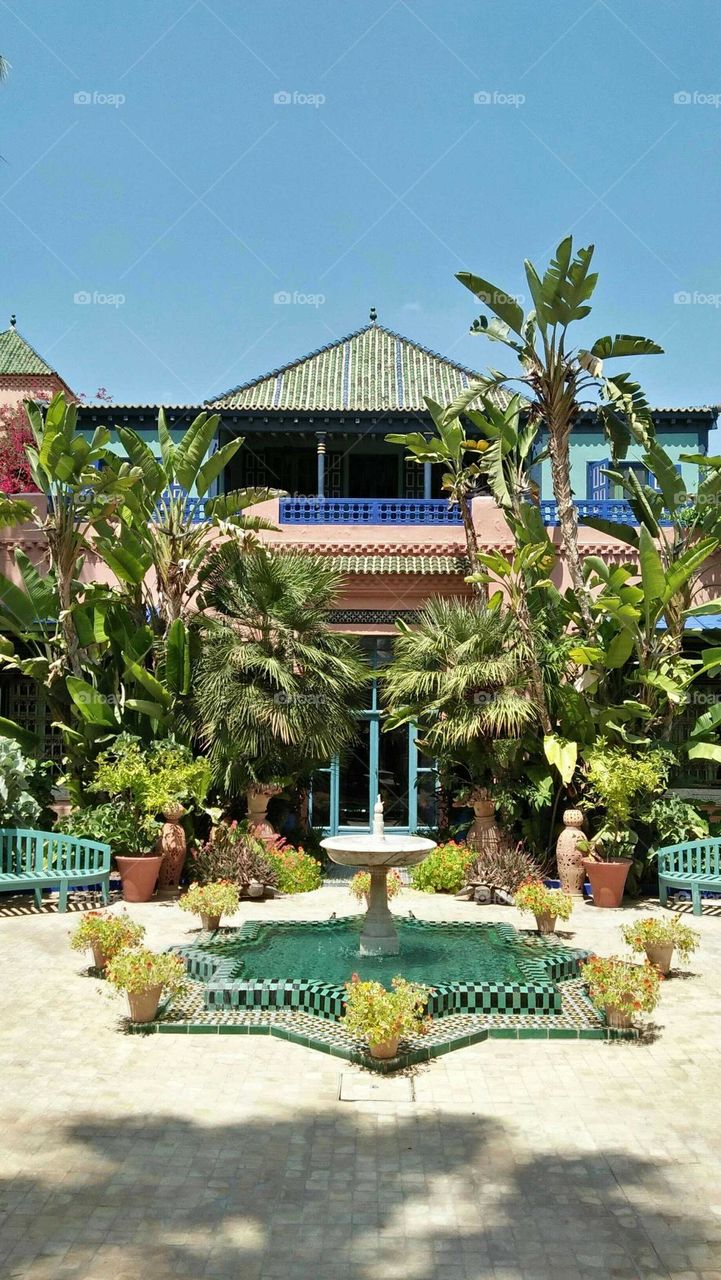 Majorelle garden in maarrakesh city in Morocco.