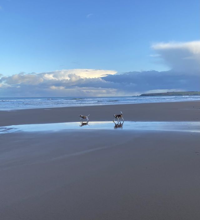 Running free