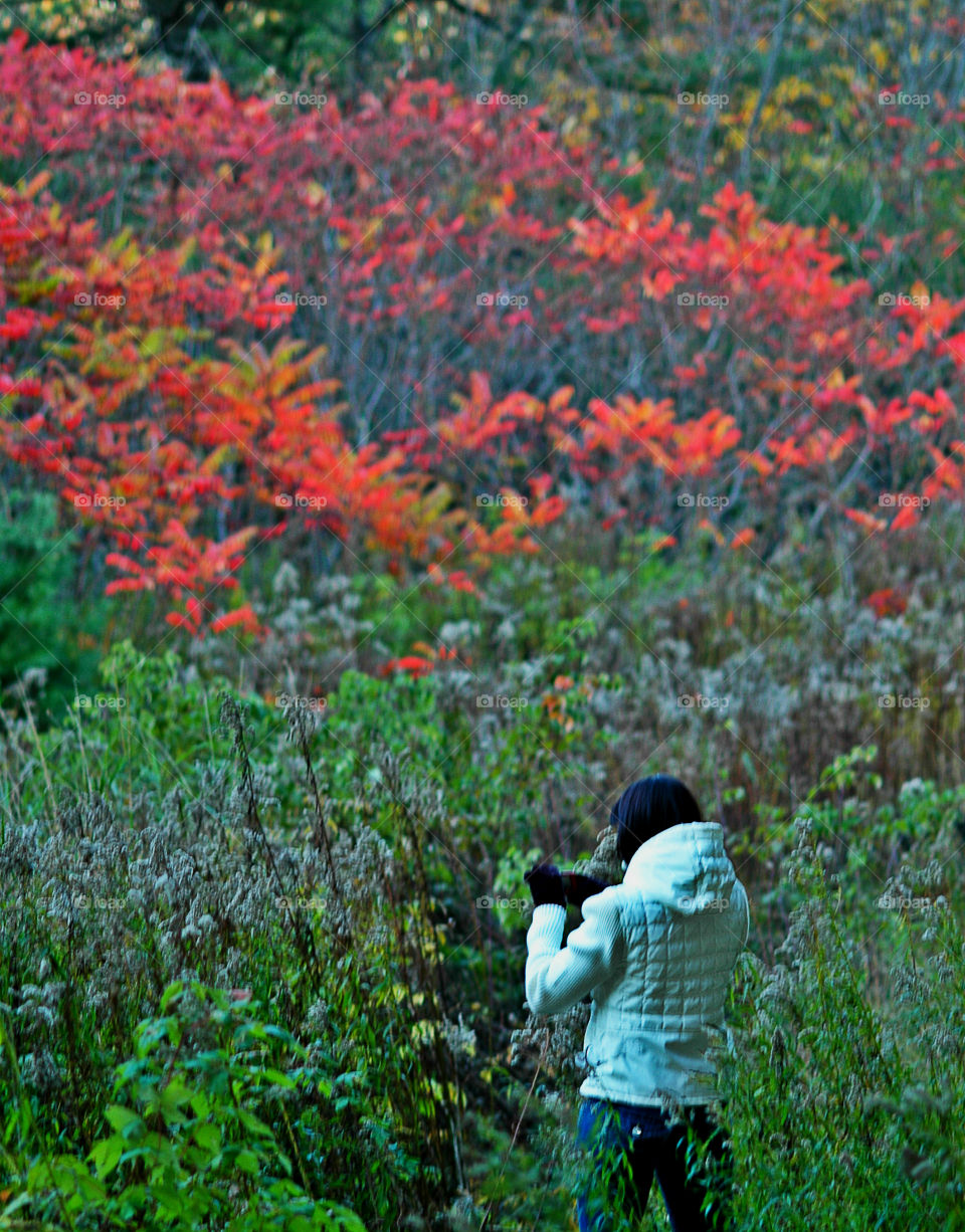 A Forest in every season! The forest's smell was fresh and organic! You could hear rustling as the wildlife scattered as the twigs were crunching under my feet. The trees were the towers of the forest. There are forests for all four seasons which display their own individual characteristics!