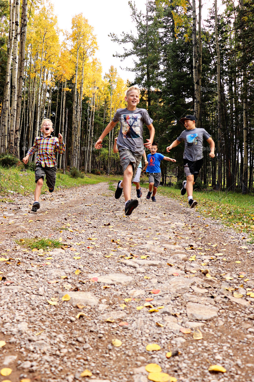 Fall Hike