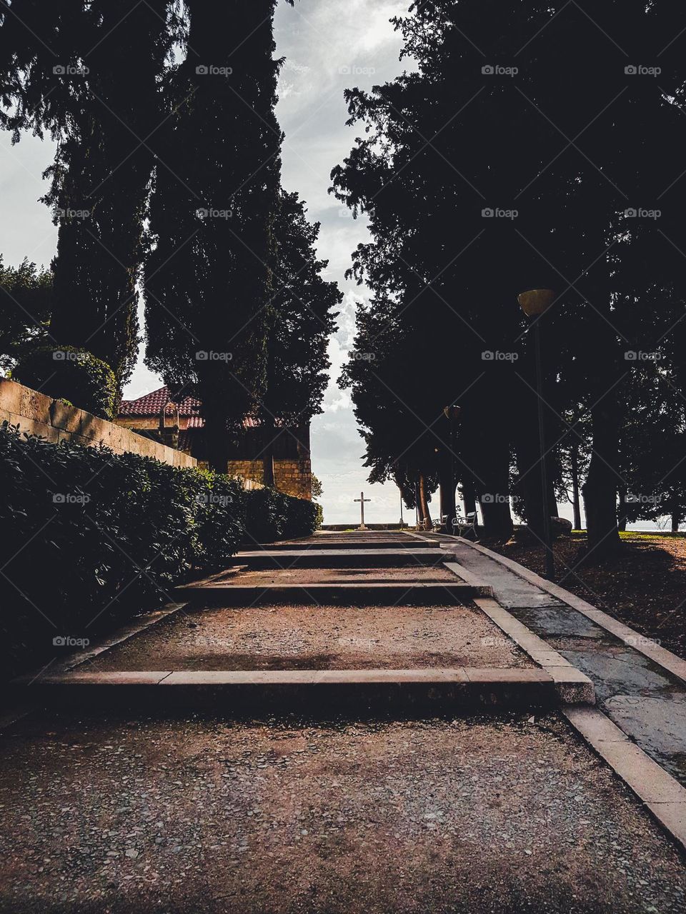 The path which is surrounded by large dense pine trees, towards the viewpoint at the end of which there is a cross.