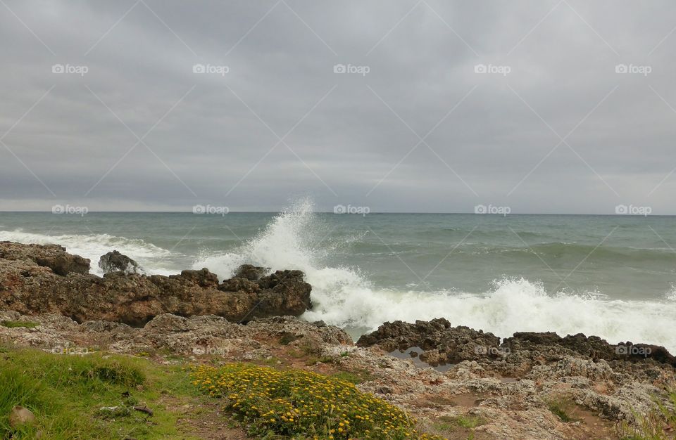 Big stormy waves 