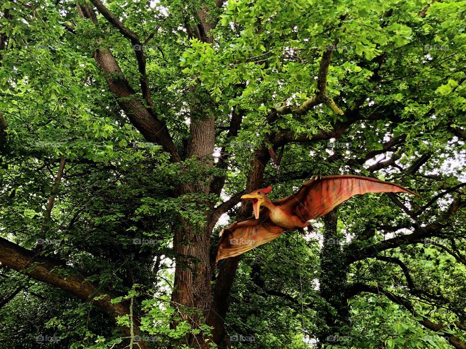 Animatronic robot Pterodactyl flying through the trees at the park