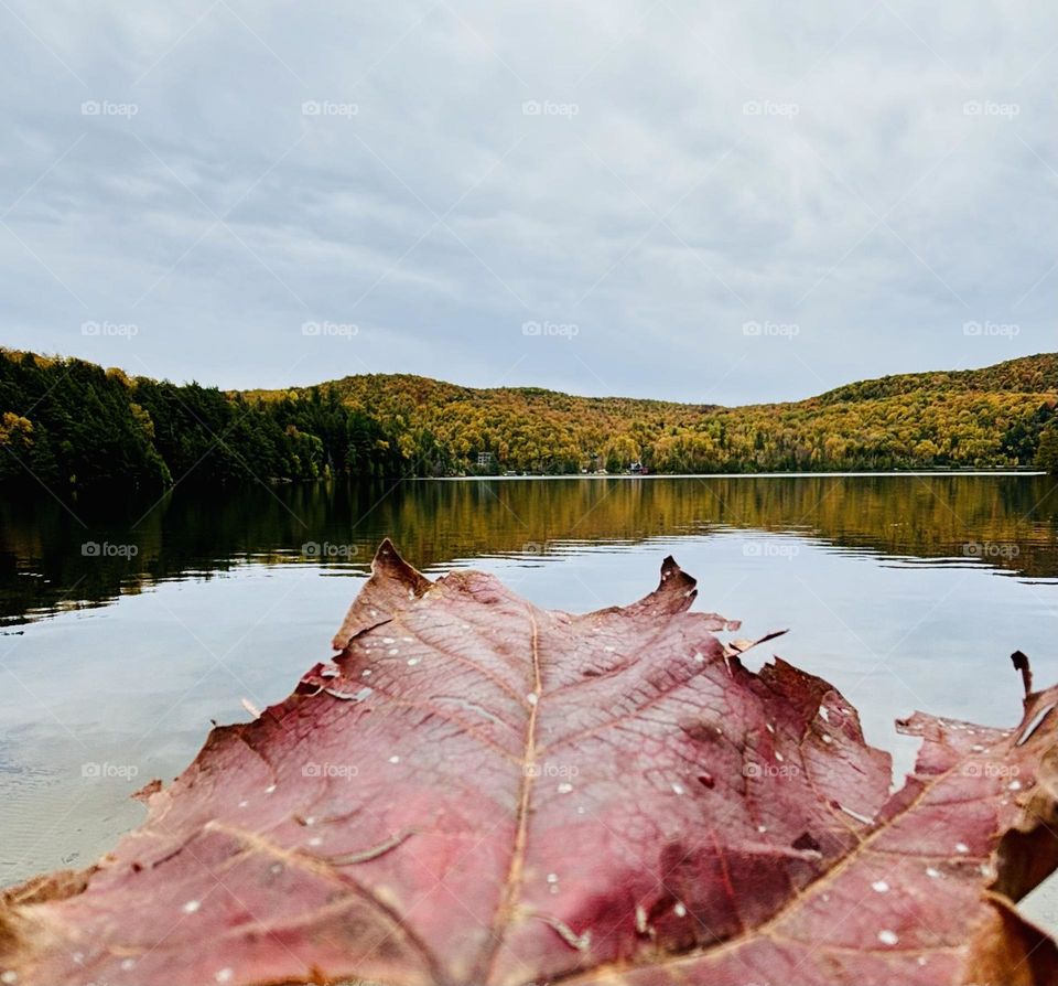 Meech Lake in Gatineau Park on a mid Fall day.