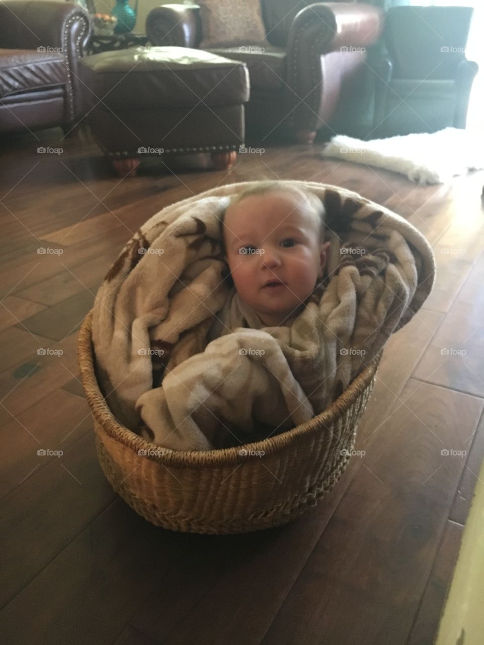 Baby boy in a basket with a brown blanket