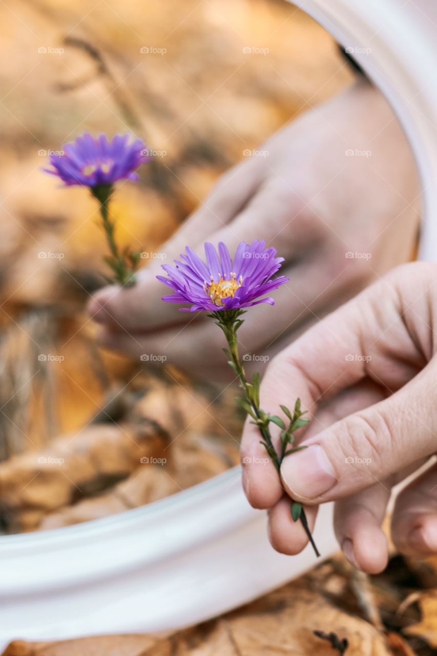 Amazing flower and her twin