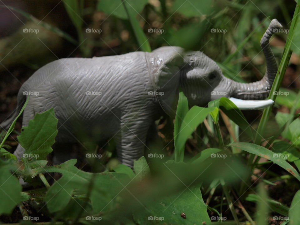 Elephent miniature toys