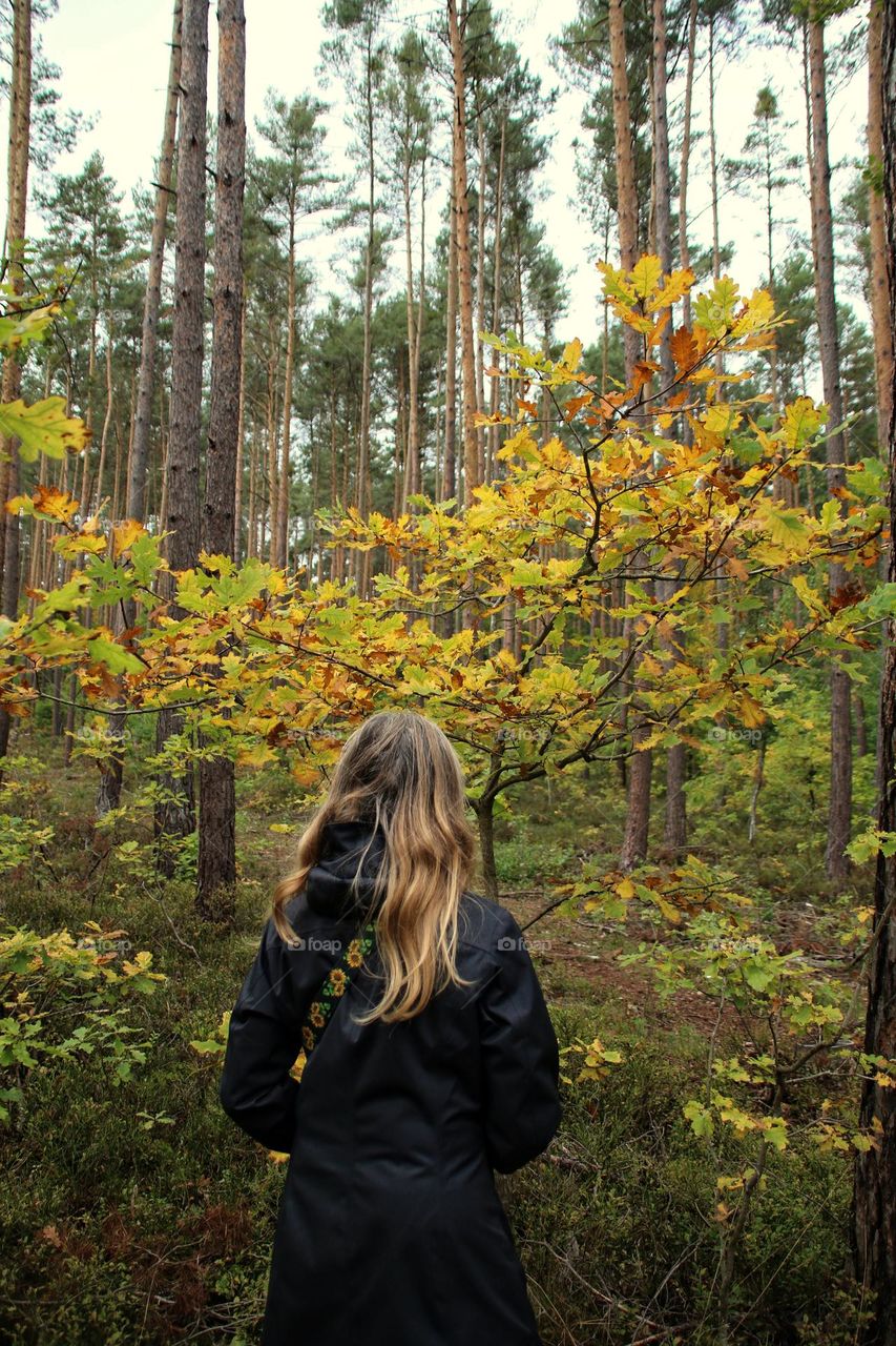 Rear view of a blonde woman standing in front of a forest with autumn leaves