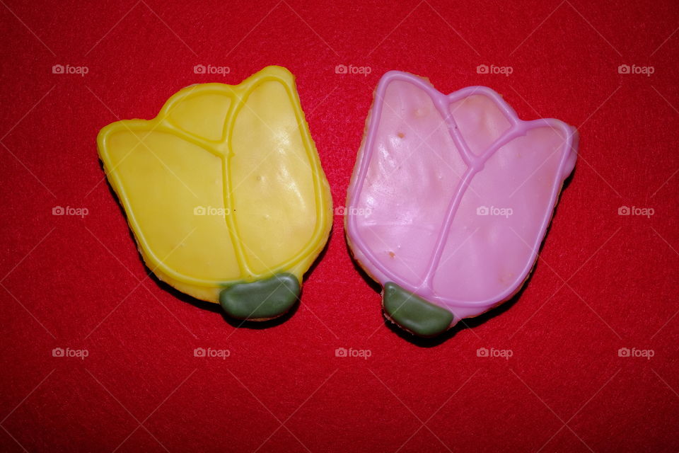 Tulip
Of a different kind