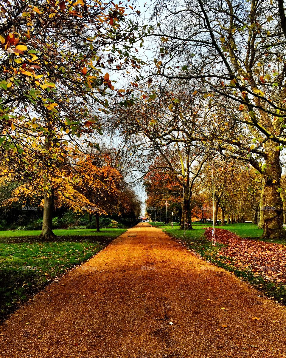 Hyde Park - London