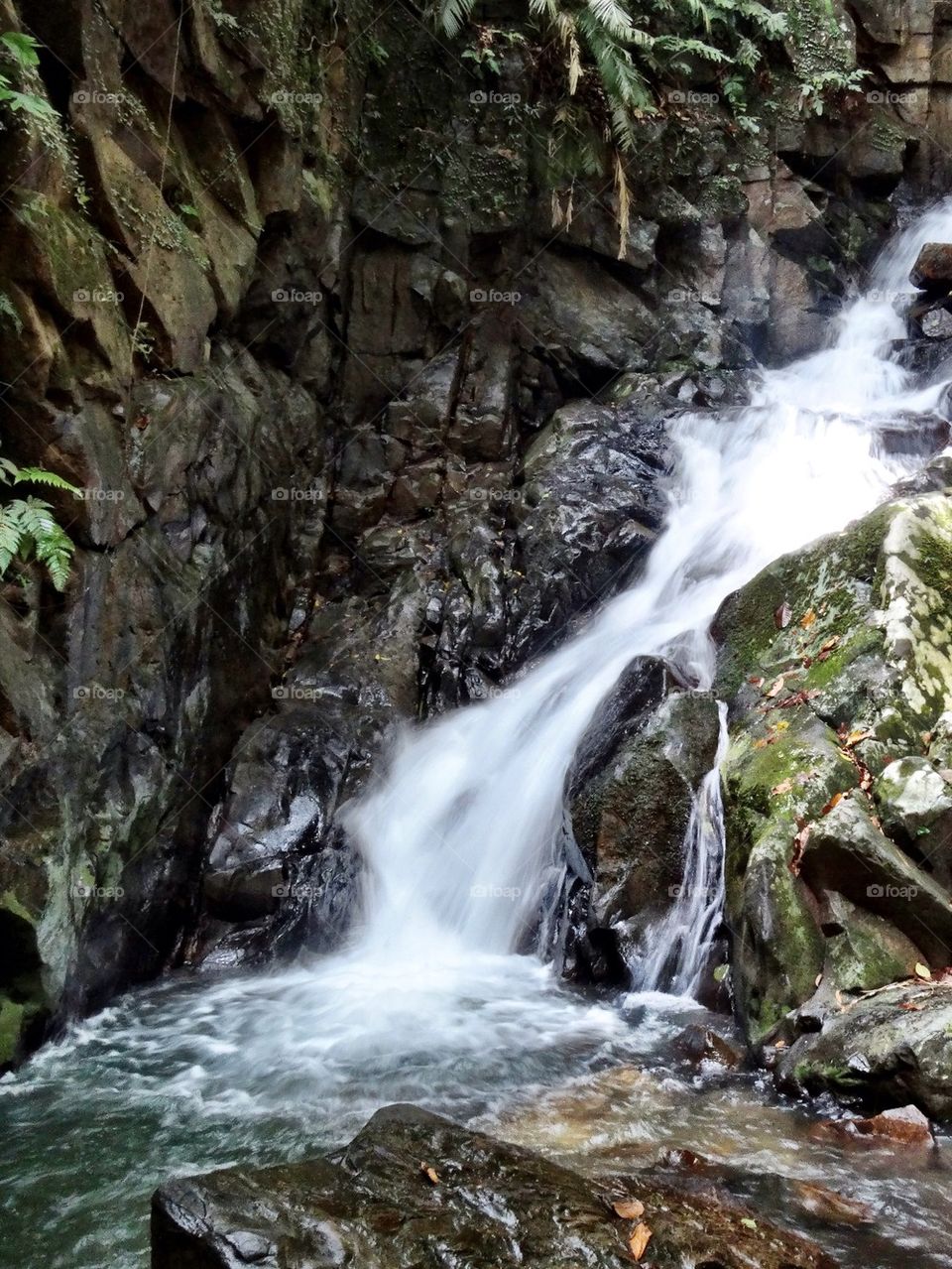 Nature waterfall